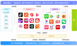 短视频点击量,热门内容背后的秘密